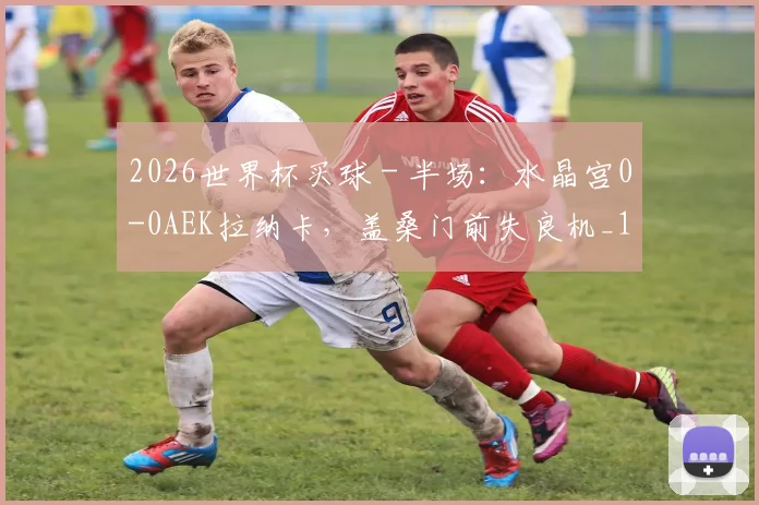 2026世界杯买球 - 半场：水晶宫0-0AEK拉纳卡，盖桑门前失良机_1